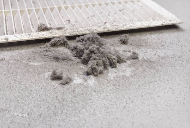 Best Air Duct Cleaning Near Me  in Rupert, WV